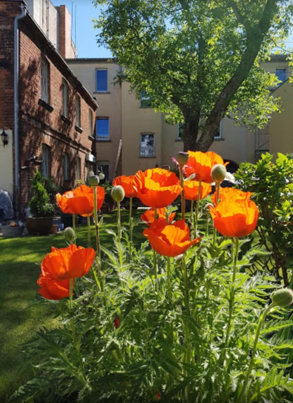 Im Gruenen Herzen Von Apartment Cottbus
